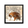 Tiger And Baby Cub In Snow Framed Photo Poster Wall Art Decoration Decor For Bedroom Living Room