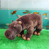 Toy - LightningStore Adorable Big Giant Large Hippo Stuffed Animal Doll Realistic Looking Plush Toys Plushie Children's Gifts Animals