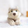 Toy - LightningStore Adorable Cute 21 Cm Baby Wolf Siberian Husky Puppy Doll Realistic Looking Stuffed Animal Plush Toys Plushie Children's Gifts Animals