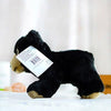 Toy - LightningStore Adorable Cute Baby Black Bear Doll Realistic Looking Stuffed Animal Plush Toys Plushie Children's Gifts Animals