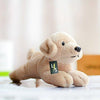 Toy - LightningStore Adorable Cute Baby Labrador Golden Retriever Puppy Doll Realistic Looking Stuffed Animal Plush Toys Plushie Children's Gifts Animals