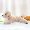 Toy - LightningStore Adorable Cute Baby Labrador Golden Retriever Puppy Doll Realistic Looking Stuffed Animal Plush Toys Plushie Children's Gifts Animals