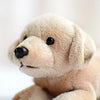 Toy - LightningStore Adorable Cute Baby Labrador Golden Retriever Puppy Doll Realistic Looking Stuffed Animal Plush Toys Plushie Children's Gifts Animals