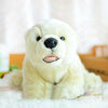Toy - LightningStore Adorable Cute Baby Polar Bear Doll Realistic Looking Stuffed Animal Plush Toys Plushie Children's Gifts Animals