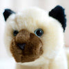 Toy - LightningStore Adorable Cute Balinese Cat Kitten Stuffed Animal Doll Realistic Looking Plush Toys Plushie Children's Gifts Animals