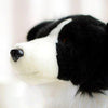 Toy - LightningStore Adorable Cute Black And White Border Collie Puppy Dog Doll Realistic Looking Stuffed Animal Plush Toys Plushie Children's Gifts Animals + Toy Organizer Bag Bundle