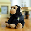 Toy - LightningStore Adorable Cute Black Baby Orangutan Monkey Stuffed Animal Doll Realistic Looking Plush Toys Plushie Children's Gifts Animals