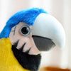 Toy - LightningStore Adorable Cute Blue And Yellow Parrot Stuffed Animal Doll Realistic Looking Parrot Plush Toys Plushie Children's Gifts Animals