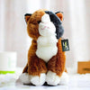 Toy - LightningStore Adorable Cute Brown Exotic Shorthair Cat Kitten Stuffed Animal Doll Realistic Looking Plush Toys Plushie Children's Gifts Animals + Toy Organizer Bag Bundle