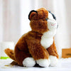 Toy - LightningStore Adorable Cute Brown Exotic Shorthair Cat Kitten Stuffed Animal Doll Realistic Looking Plush Toys Plushie Children's Gifts Animals + Toy Organizer Bag Bundle
