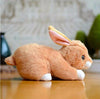 Toy - LightningStore Adorable Cute Brown Rabbit Rabit Bunny Doll Realistic Looking Stuffed Animal Plush Toys Plushie Children's Gifts Animals
