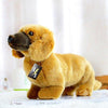 Toy - LightningStore Adorable Cute Brown Yellow Dachshund Long Body Sausage Puppy Baby Dog Doll Realistic Looking Stuffed Animal Plush Toys Plushie Children's Gifts Animals