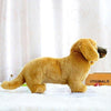 Toy - LightningStore Adorable Cute Brown Yellow Dachshund Long Body Sausage Puppy Baby Dog Doll Realistic Looking Stuffed Animal Plush Toys Plushie Children's Gifts Animals