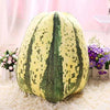 Toy - LightningStore Adorable Cute Cabbage White Melon Mushroon Potato Vegetable Stuffed Animal Doll Realistic Looking Plush Toys Plushie Children's Gifts Animals