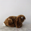 Toy - LightningStore Adorable Cute Dark Brown Light Brown Yellow Rabbit Bunny Stuffed Animal Doll Realistic Looking Plush Toys Plushie Children's Gifts Animals