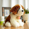 Toy - LightningStore Adorable Cute Doctor Nurse Saint Bernard Puppy Dog Stuffed Animal Doll Realistic Looking Plush Toys Plushie Children's Gifts Animals