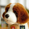 Toy - LightningStore Adorable Cute Doctor Nurse Saint Bernard Puppy Dog Stuffed Animal Doll Realistic Looking Plush Toys Plushie Children's Gifts Animals