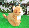 Toy - LightningStore Adorable Cute Gray Grey Orange Sitting Giant Cat Stuffed Animal Doll Realistic Looking Plush Toys Plushie Children's Gifts Animals
