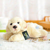 Toy - LightningStore Adorable Cute Labrador Golden Retriever Puppy Baby Dog Doll Realistic Looking Stuffed Animal Plush Toys Plushie Children's Gifts Animals + Toy Organizer Bag Bundle