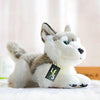 Toy - LightningStore Adorable Cute Lying Sleeping Siberian Husky Puppy Baby Dog Doll Realistic Looking Stuffed Animal Plush Toys Plushie Children's Gifts Animals