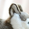 Toy - LightningStore Adorable Cute Lying Sleeping Siberian Husky Puppy Baby Dog Doll Realistic Looking Stuffed Animal Plush Toys Plushie Children's Gifts Animals