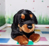 Toy - LightningStore Adorable Cute Rottweiler Puppy Dog Doll Stuffed Animal Doll Realistic Looking Plush Toys Plushie Children's Gifts Animals + Toy Organizer Bag Bundle