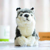 Toy - LightningStore Adorable Cute Siberian Husky Baby Puppy Dog Doll Realistic Looking Stuffed Animal Plush Toys Plushie Children's Gifts Animals