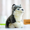 Toy - LightningStore Adorable Cute Siberian Husky Baby Puppy Dog Doll Realistic Looking Stuffed Animal Plush Toys Plushie Children's Gifts Animals