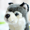 Toy - LightningStore Adorable Cute Siberian Husky Baby Puppy Dog Doll Realistic Looking Stuffed Animal Plush Toys Plushie Children's Gifts Animals
