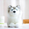 Toy - LightningStore Adorable Cute Siberian Husky Doll Realistic Looking Stuffed Animal Plush Toys Plushie Children's Gifts Animals