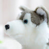 Toy - LightningStore Adorable Cute Siberian Husky Doll Realistic Looking Stuffed Animal Plush Toys Plushie Children's Gifts Animals