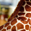 Toy - LightningStore Adorable Cute Sitting Baby Giraffe Stuffed Animal Doll Realistic Looking Plush Toys Plushie Children's Gifts Animals