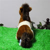 Toy - LightningStore Adorable Cute Sitting Brown And White Horse Pony Stuffed Animal Doll Realistic Looking Plush Toys Plushie Children's Gifts Animals