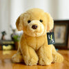 Toy - LightningStore Adorable Cute Sitting Golden Retriever Labrador Puppy Dog Stuffed Animal Doll Realistic Looking Plush Toys Plushie Children's Gifts Animals + Toy Organizer Bag Bundle