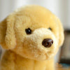 Toy - LightningStore Adorable Cute Sitting Golden Retriever Labrador Puppy Dog Stuffed Animal Doll Realistic Looking Plush Toys Plushie Children's Gifts Animals + Toy Organizer Bag Bundle