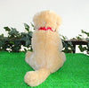Toy - LightningStore Adorable Cute Sitting Golden Retriever Stuffed Animal Doll Realistic Looking Plush Toys Plushie Children's Gifts Animals