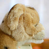 Toy - LightningStore Adorable Cute Sitting Lion Lioness Cub Baby Doll Realistic Looking Stuffed Animal Plush Toys Plushie Children's Gifts Animals