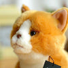 Toy - LightningStore Adorable Cute Sitting Orange Cat Kitten Stuffed Animal Doll Realistic Looking Plush Toys Plushie Children's Gifts Animals + Toy Organizer Bag Bundle