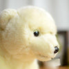 Toy - LightningStore Adorable Cute Sitting Polar Bear Stuffed Animal Doll Realistic Looking Plush Toys Plushie Children's Gifts Animals