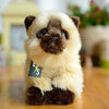 Toy - LightningStore Adorable Cute Sitting Siamese Tonkinese Snowshoe Himalayan Balinese Seychellois Cat Kitten Stuffed Animal Doll Realistic Looking Plush Toys Plushie Children's Gifts Animals