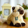 Toy - LightningStore Adorable Cute Sitting Siamese Tonkinese Snowshoe Himalayan Balinese Seychellois Cat Kitten Stuffed Animal Doll Realistic Looking Plush Toys Plushie Children's Gifts Animals