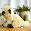 Toy - LightningStore Adorable Cute Sitting Siamese Tonkinese Snowshoe Himalayan Balinese Seychellois Cat Kitten Stuffed Animal Doll Realistic Looking Plush Toys Plushie Children's Gifts Animals