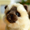 Toy - LightningStore Adorable Cute Sitting Siamese Tonkinese Snowshoe Himalayan Balinese Seychellois Cat Kitten Stuffed Animal Doll Realistic Looking Plush Toys Plushie Children's Gifts Animals