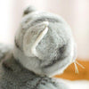 Toy - LightningStore Adorable Cute Sleeping Lying Gray Cat Kitten Stuffed Animal Doll Realistic Looking Plush Toys Plushie Children's Gifts Animals