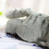 Toy - LightningStore Adorable Cute Sleeping Lying Gray Cat Kitten Stuffed Animal Doll Realistic Looking Plush Toys Plushie Children's Gifts Animals