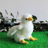 Toy - LightningStore Adorable Cute White Albatross Bird Sea Gull Seagull Chicken Stuffed Animal Doll Realistic Looking Plush Toys Plushie Children's Gifts Animals