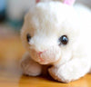 Toy - LightningStore Adorable Cute White Rabbit Rabit Bunny Doll Realistic Looking Stuffed Animal Plush Toys Plushie Children's Gifts Animals