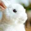 Toy - LightningStore Adorable Cute White Rabbit Stuffed Animal Doll Realistic Looking Plush Toys Plushie Children's Gifts Animals