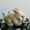 Toy - LightningStore Adorable Cute Yellow Rabbit Bunny Stuffed Animal Doll Realistic Looking Plush Toys Plushie Children's Gifts Animals