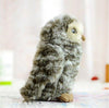 Toy - LightningStore Adorable Patterned Owl Doll Realistic Looking Stuffed Animal Plush Toys Plushie Children's Gifts Animals